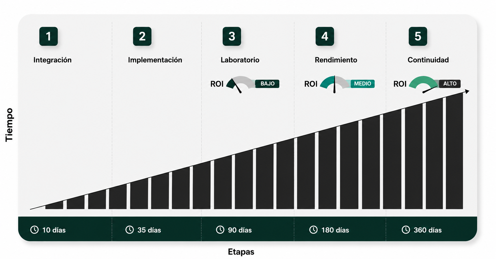 Etapas del Protocolo RevLab